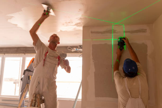 Best Drywall Removal and Disposal  in Boiling Springs, PA